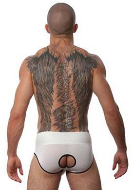 GBGB Brock Jock white