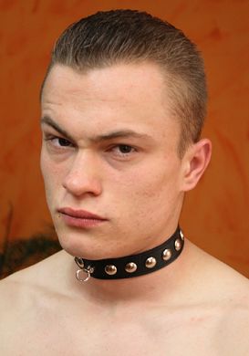 HardcoreDeLuxe ? Leder Halsband mit Nieten