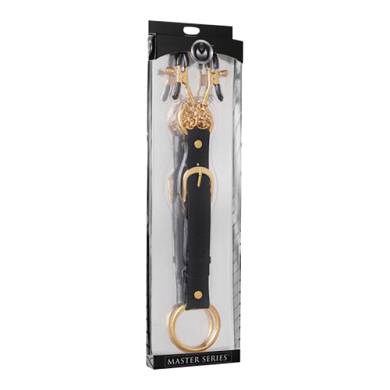 Nipple-Klemmen und Penis-Ring
