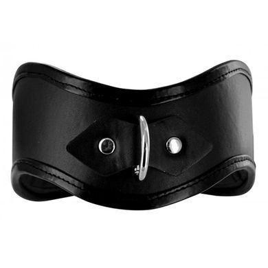 Locking Posture Collar
