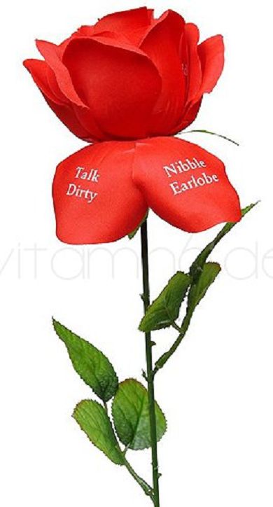 Fleur dAmour Liebesrose