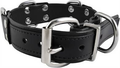 Halsfessel 4 D-Rings Black