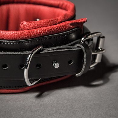 padded-leather-collar