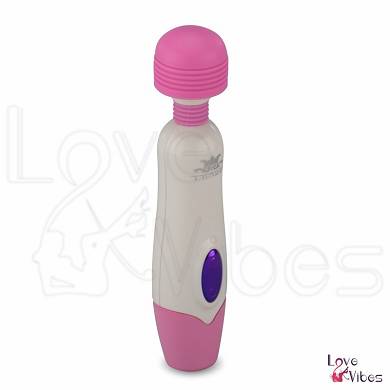 Massager Compact