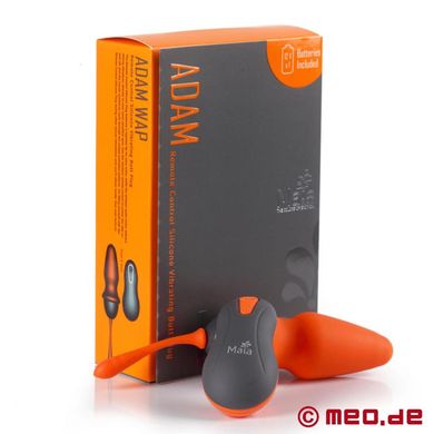 buttplug-analsex-per-fernbedienung
