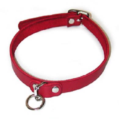 Schickes rotes Halsband