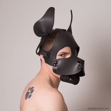 Mr S WOOF! Muzzle