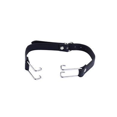 Mouth Hook Gag