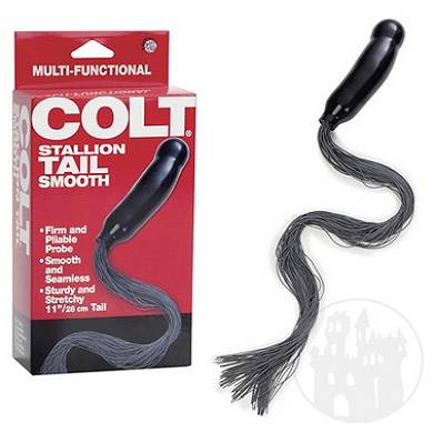 colt-stallion