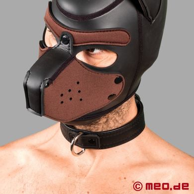 puppy-halsband-aus-leder-san-francisco-serie