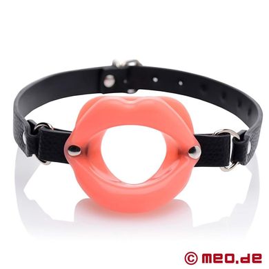 blowjob-mund-knebel