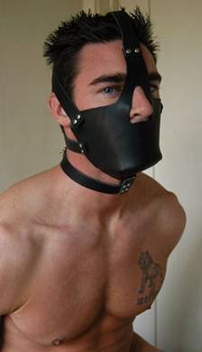 leder-kopfharness