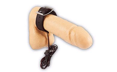 leder_electro_penisband_mit_schnalle