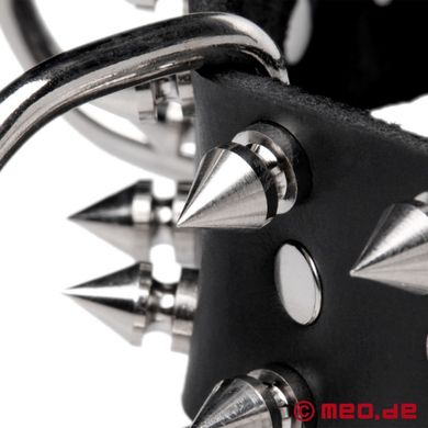 hundehalsband-aus-leder-mit-spikes--alpharde