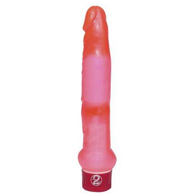 anal-vibrator_2