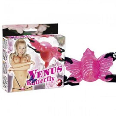 venus-butterfly