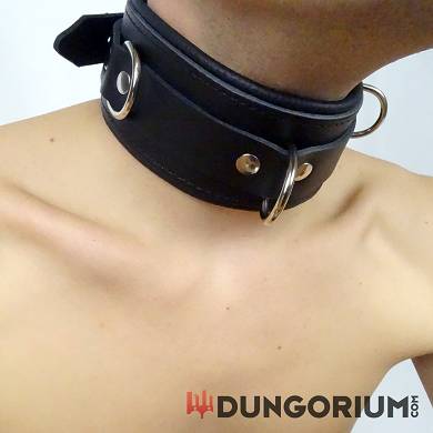lederhalsband_5