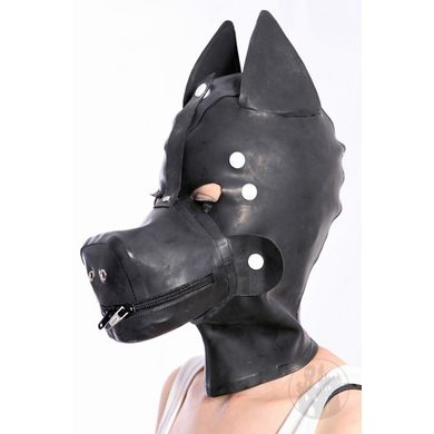 hunde-latex-maske