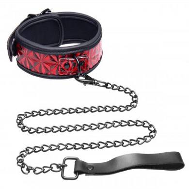 Halsband mit Leine