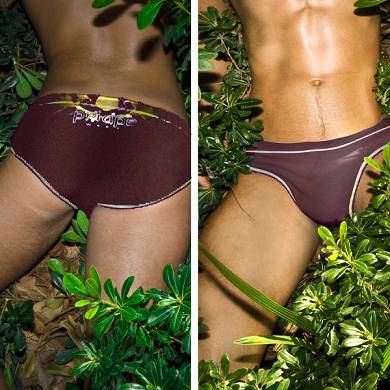 priapewear-swim-sur-maroon