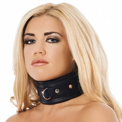gepolstertes-halsband