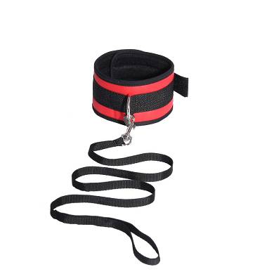 Halsband mit Leine