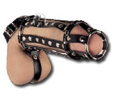 Cock-Ring aus Leder - Cockharness