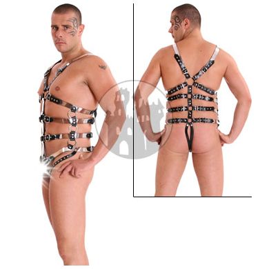 leder-harness-im-metallic-look