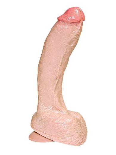 real_stallion_dildo_27cm_haut