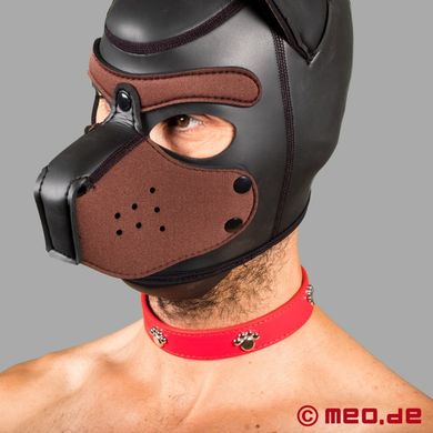 bad-puppy-hundehalsband-fetisch
