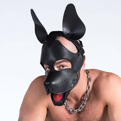 dog-play-muzzle-mask