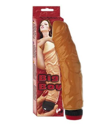 Vibrator 