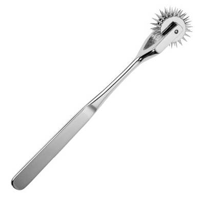 nervenrad_nach_wartenberg_mit_3_raumldern_-_rostfr
