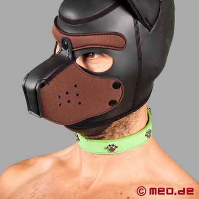 bad-puppy-hundehalsband-fetisch