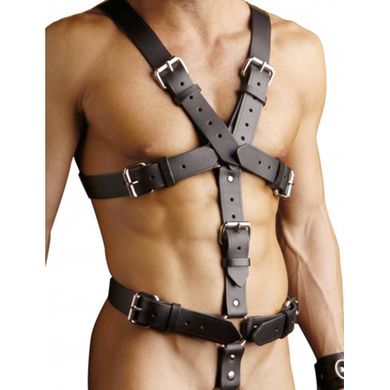 Krper Harness