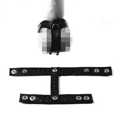 cock-and-ballstretcher