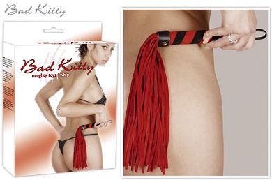 bad-kitty-peitsche