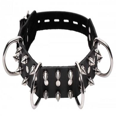 verschliebares-hundehalsband-mit-spikes