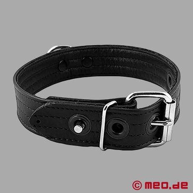 puppy-halsband-aus-leder-san-francisco-serie