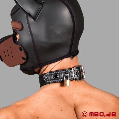puppy-halsband-aus-leder-san-francisco-serie