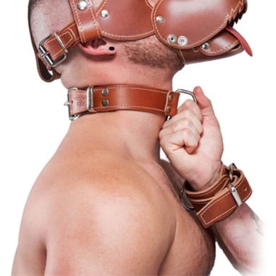 leather-collar-brown