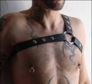 leder_harness_8