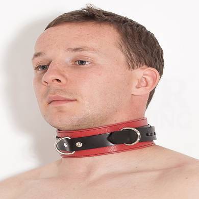 verschliebares-halsband