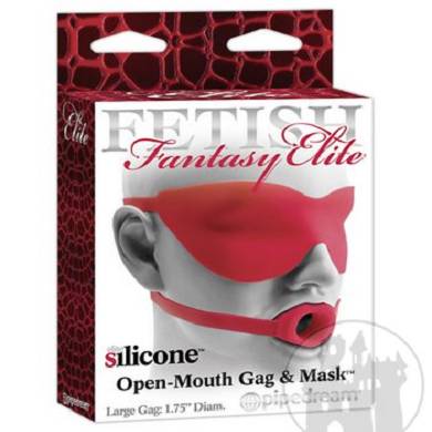 open-mouth-gag-and-mask-large