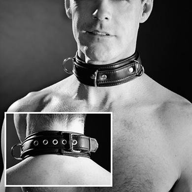 ledernietenhalsband