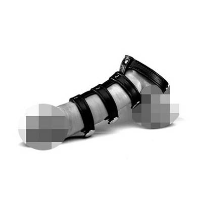 penisgeschirr_2