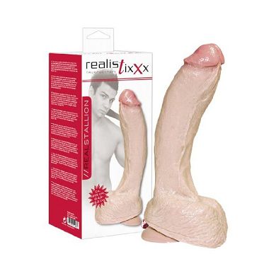 realistixxx-real-stallion-dildo