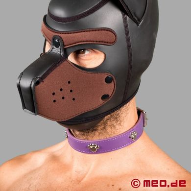 bad-puppy-hundehalsband-fetisch