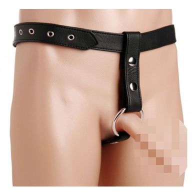 anal-plug-harness-mit-penis-ring