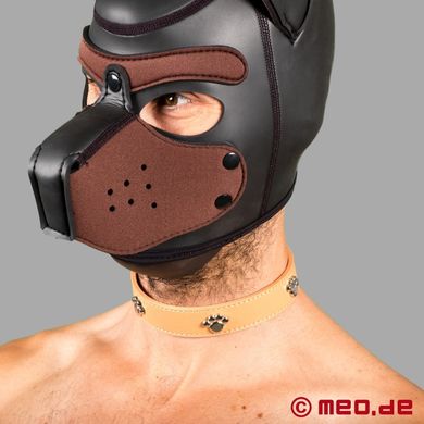 bad-puppy-hundehalsband-fetisch